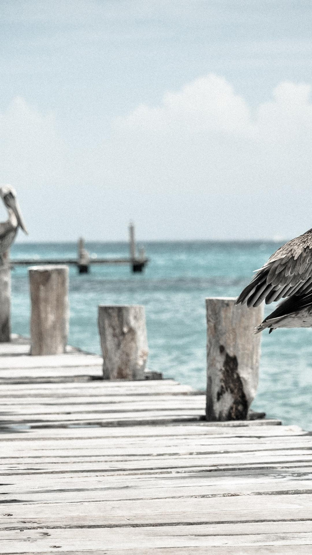 39c8610a85b67e018853a70e435f13d1a6ccb654