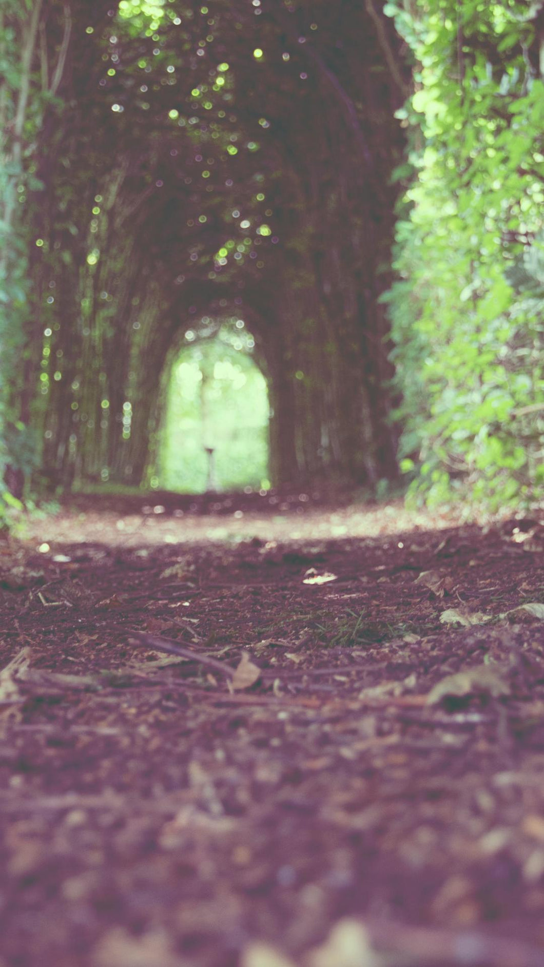 352fd29e3d574b51767aebabbe6a2f7d6abbc29b