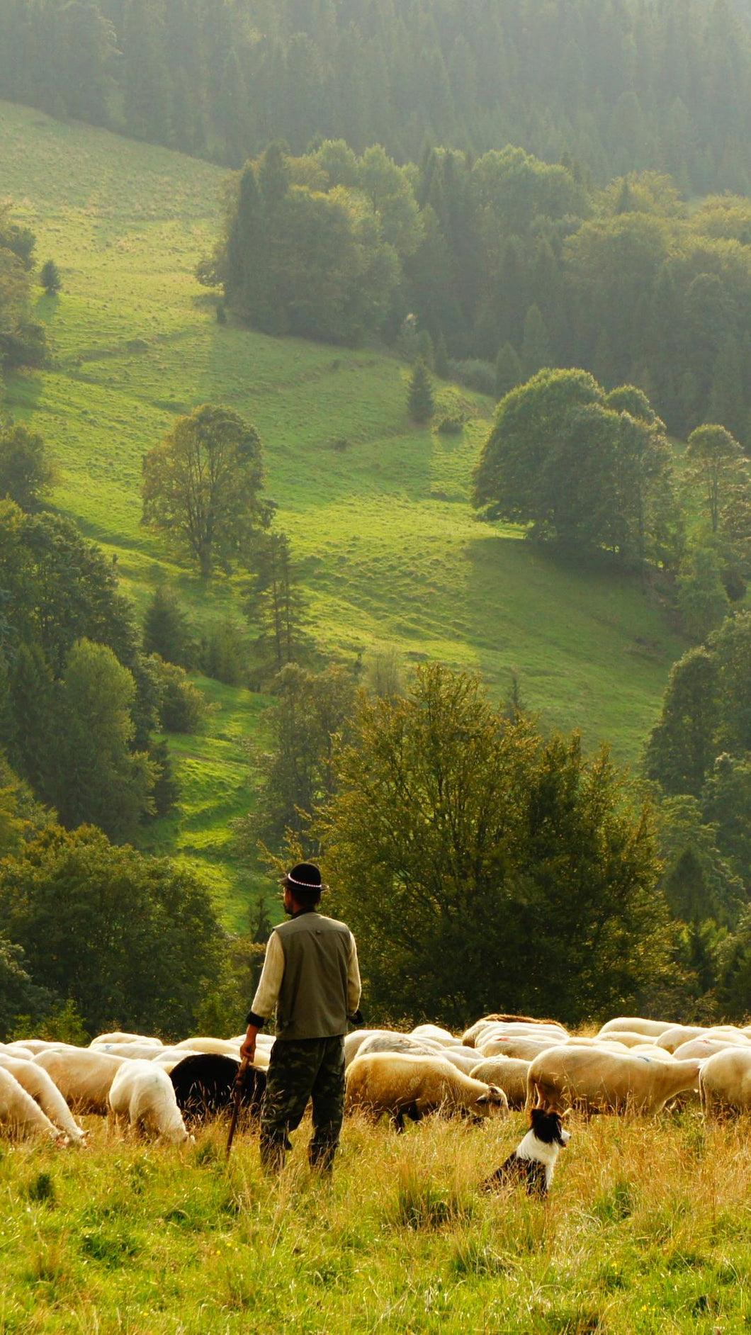 c81ea741113c8c4b5f5604f9a1a1fec59a004d51