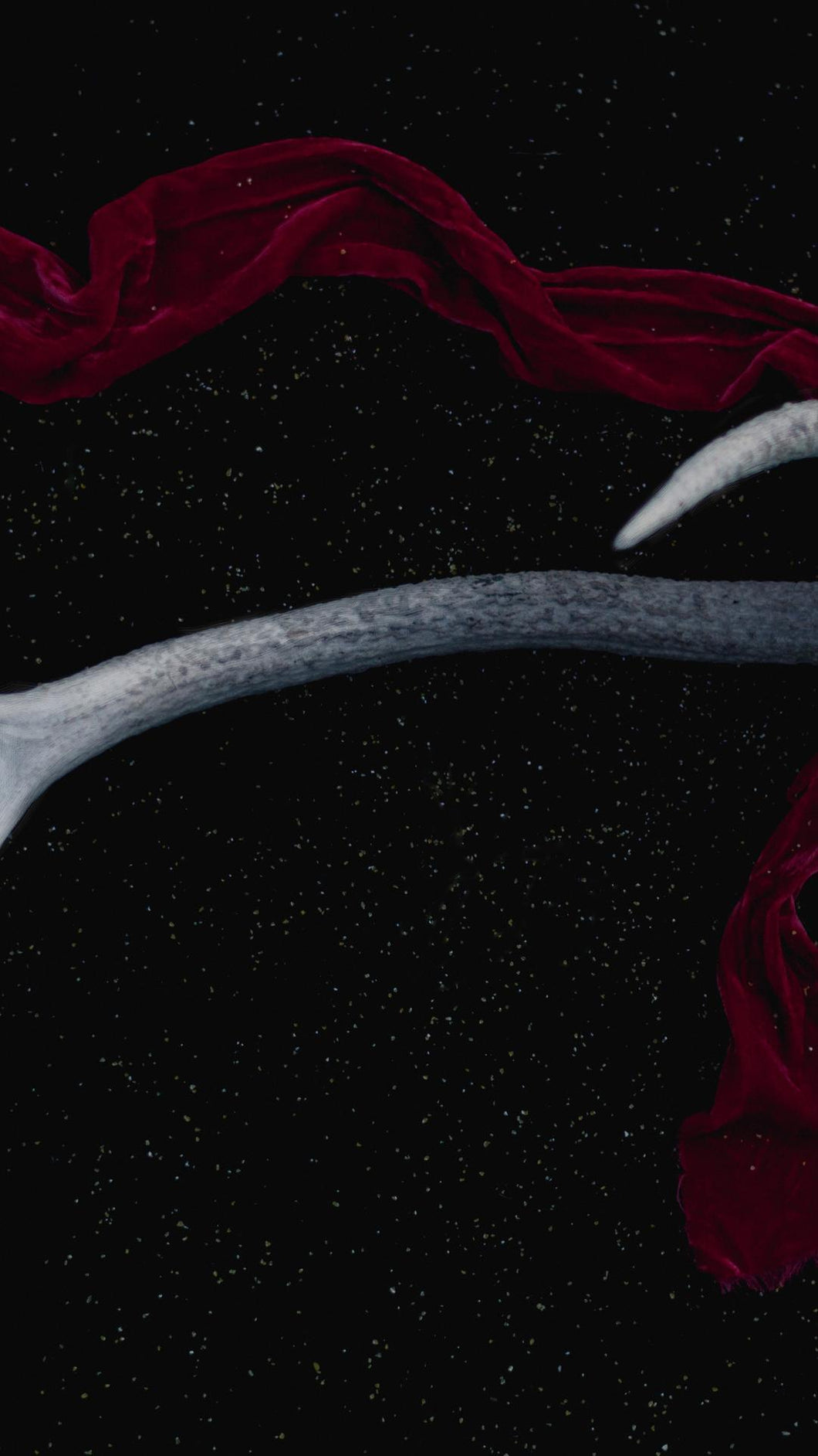 8a111128a839a2c5ec30375c0f74c4f1e0ed2436