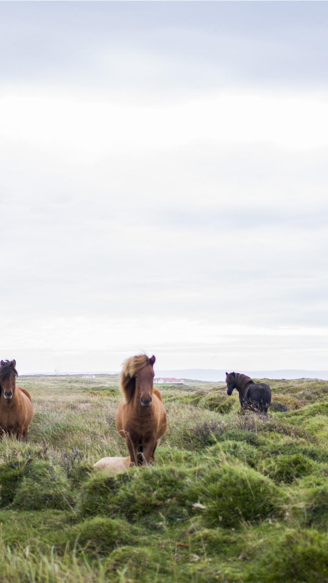 eefc7c459bc5e5bb244cd926af9667f958a3c7c7