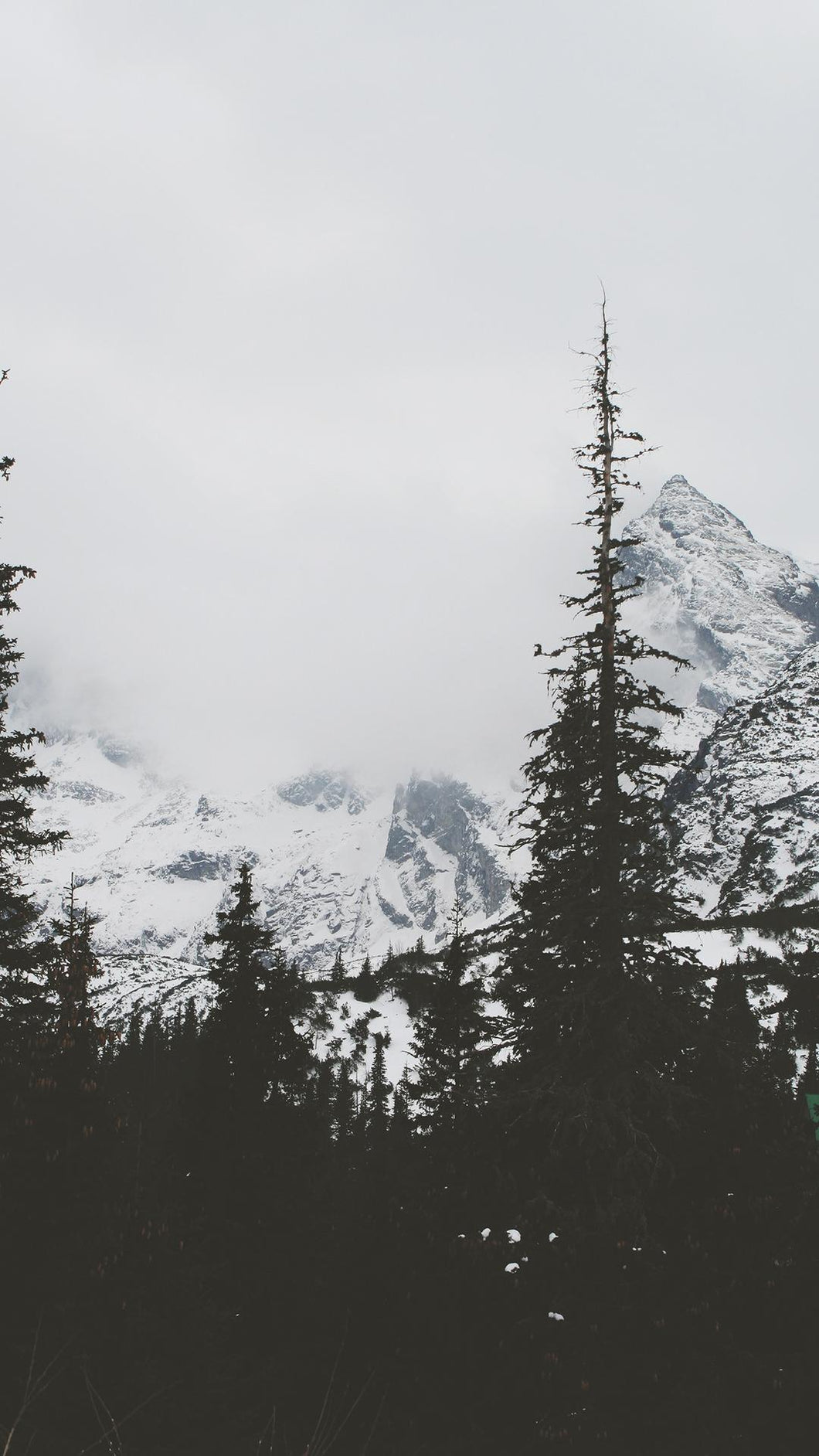 e2317b9fb2d97a79e98fc249206e0dc33ab45e26