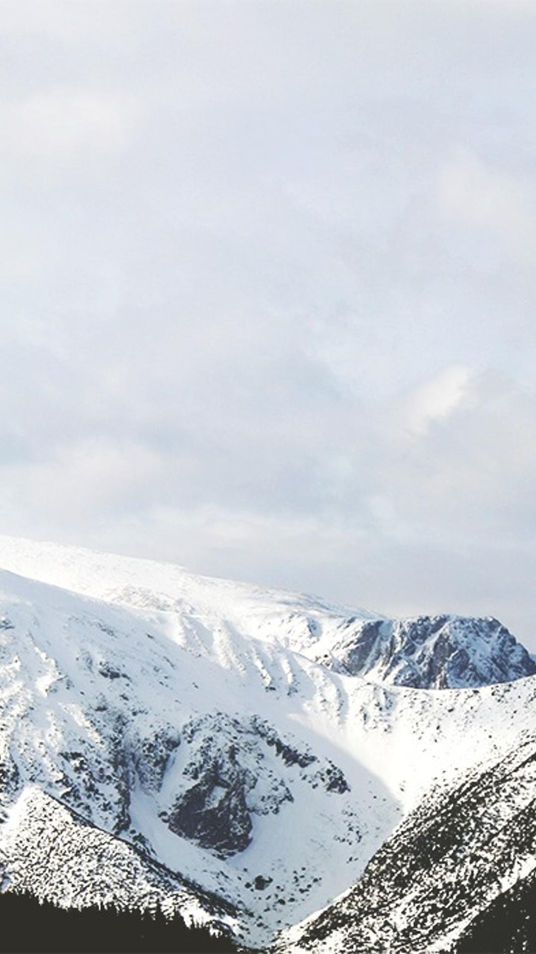 082cbdf4dd9138a4bfb798540fcca94a554069da