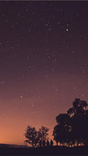 Load image into Gallery viewer, b516d563ecd8c61a32bfe7da1b79a03449fc0ce9
