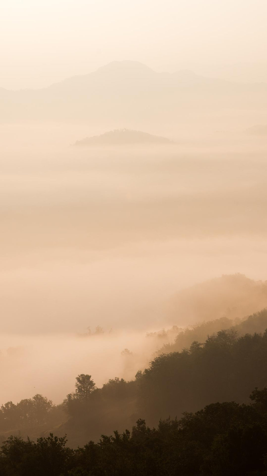 080723af0b1c9874faad801b2fcd70ac3f826bc4