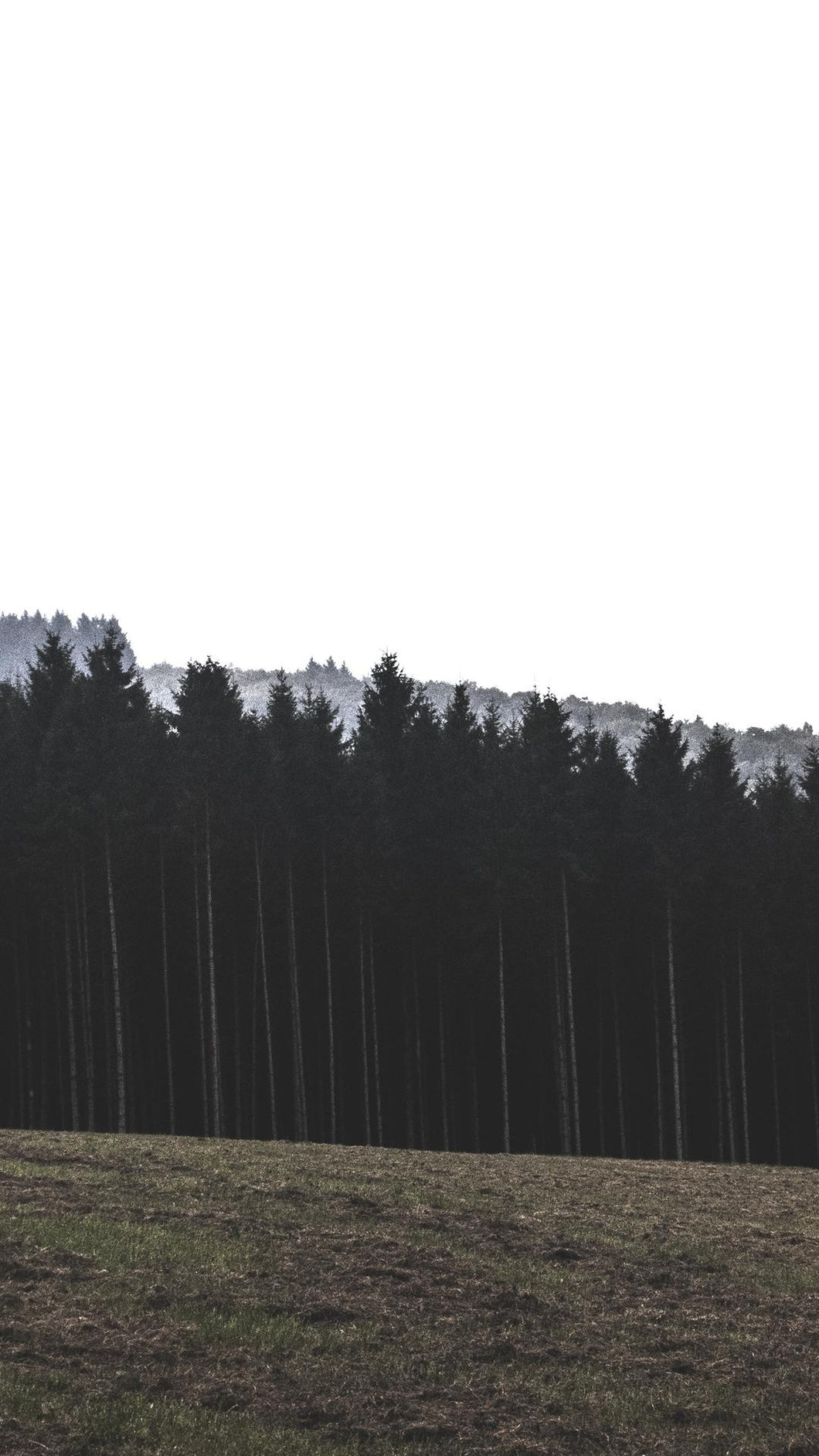 1dfca957478354a1fb6908ae814dafc1136b408e