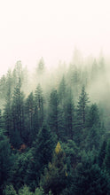 Load image into Gallery viewer, bb193f4e3b278fd50fa6e44b64ec91727782c90f
