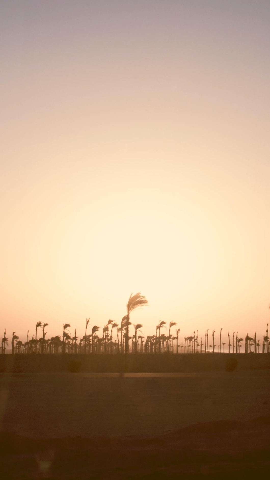 913068301bd114e9078d0c7b7bf3028928e666eb