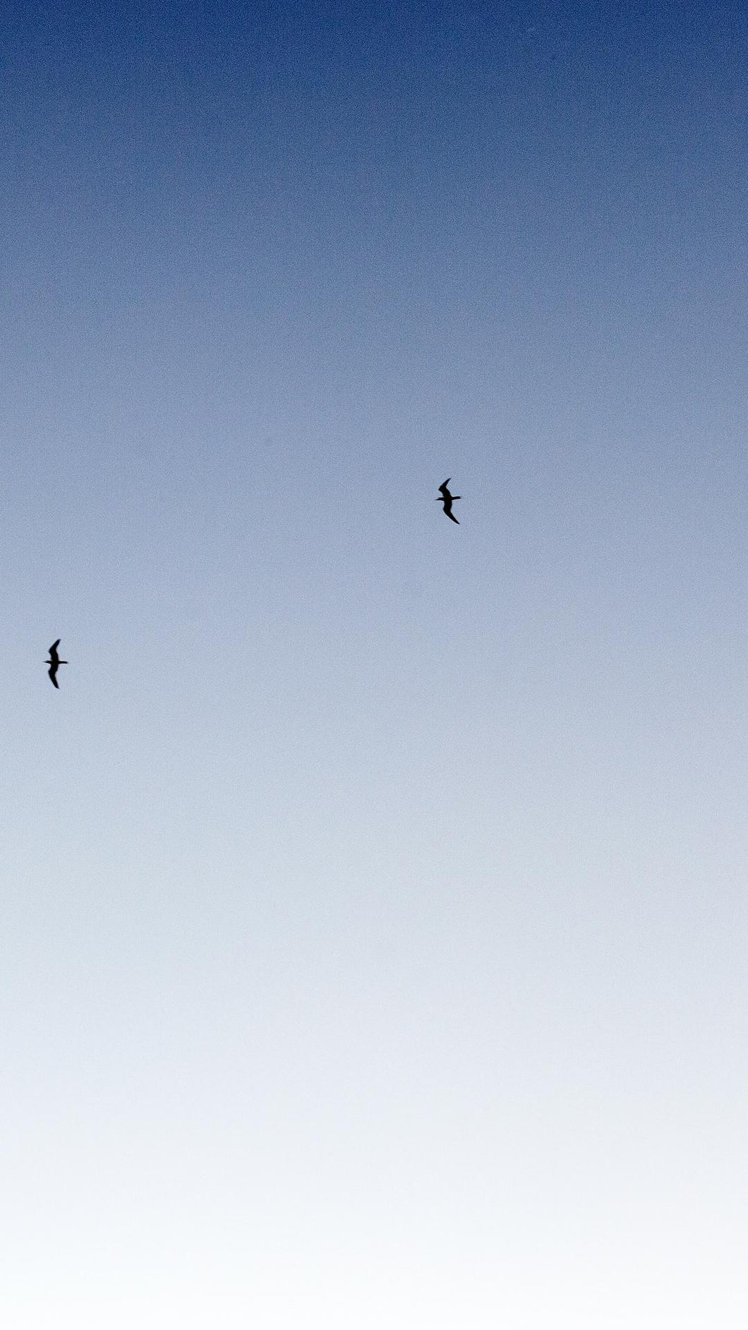 c706858b67cffdbbad18e24df6e833ad0c587fed