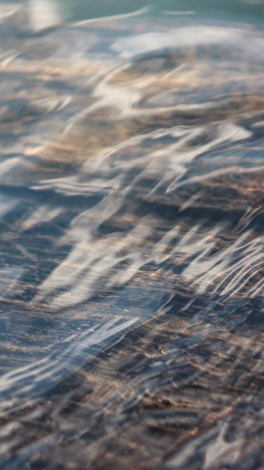 9cae4fb039327ffbd674973106391cbf04fff649