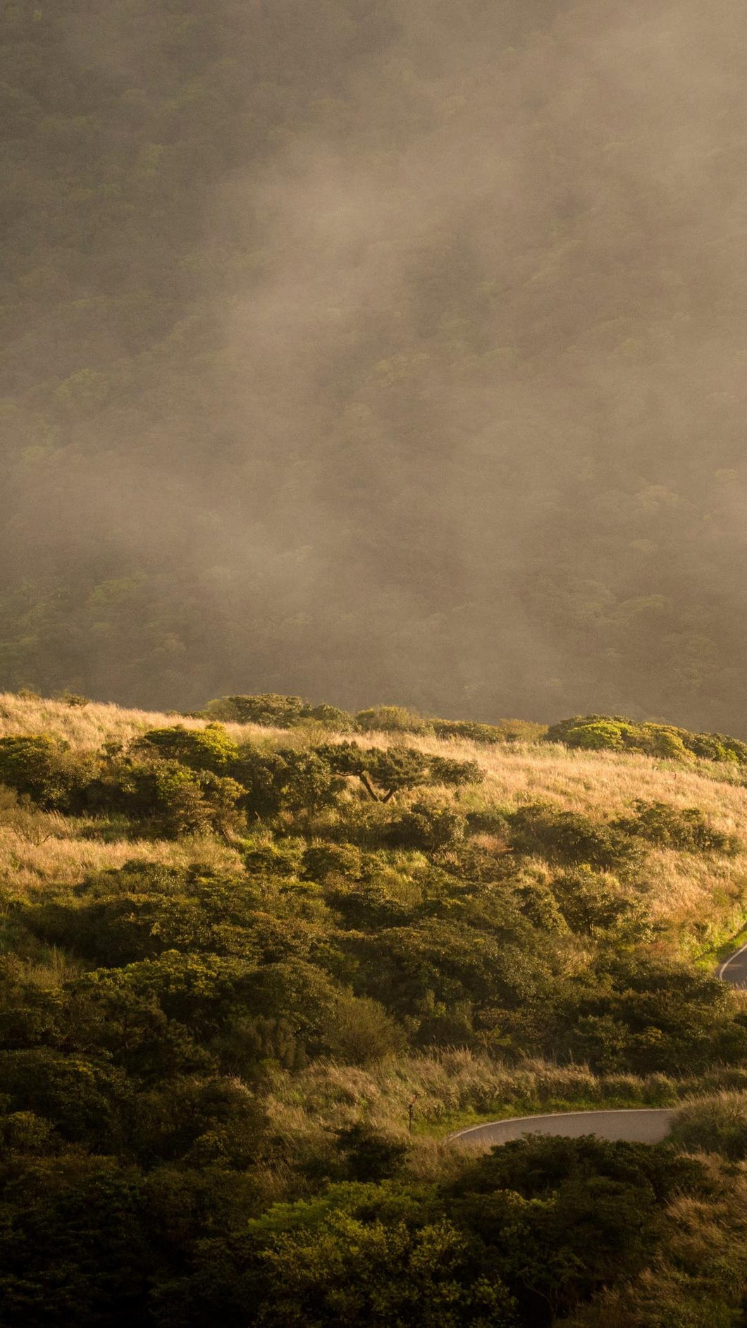 ca87317769331fccff331abda46a4df3bf25079f