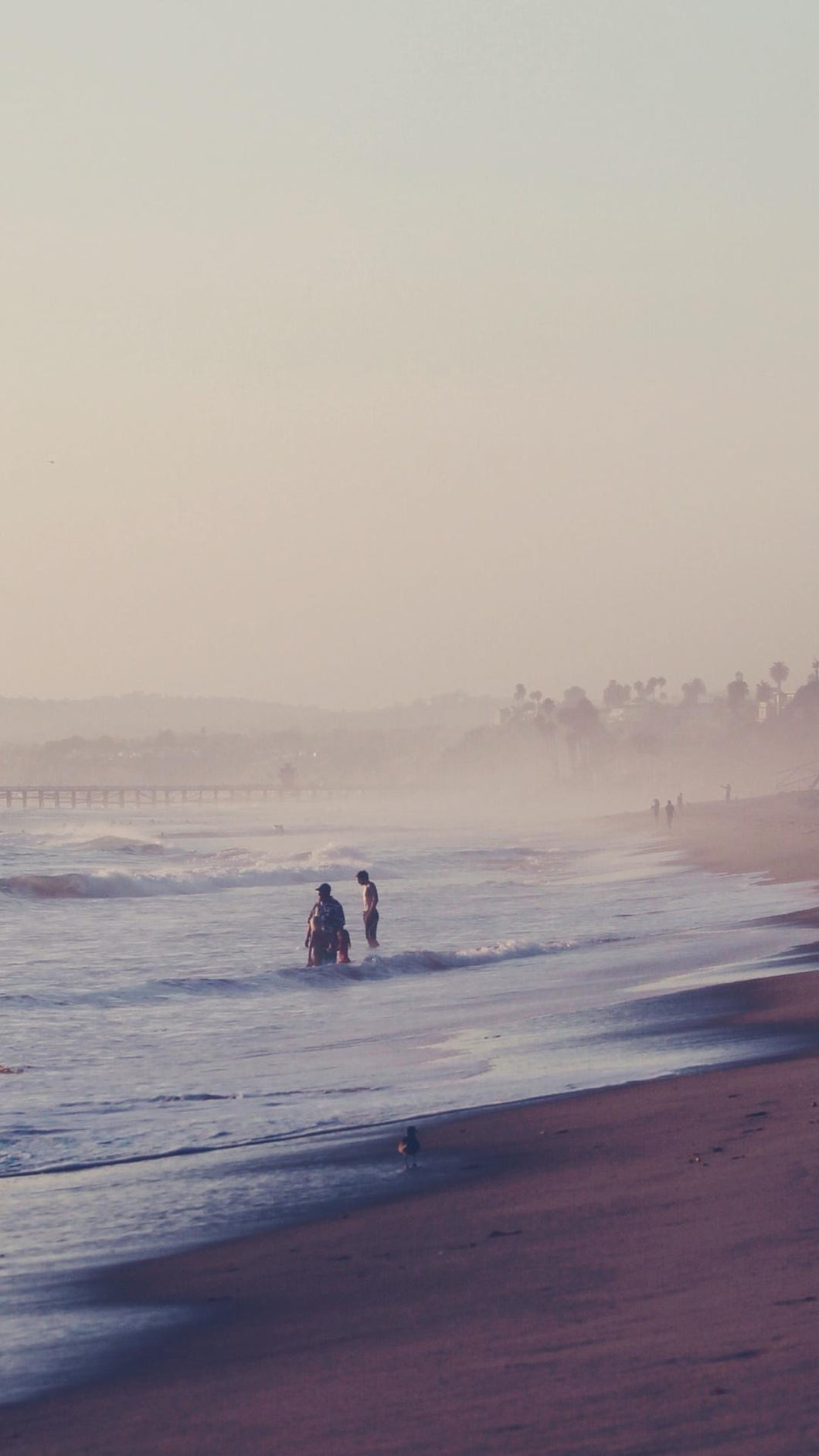 a365b656a8c86f82c839ef145fe0cd1f15365d9e