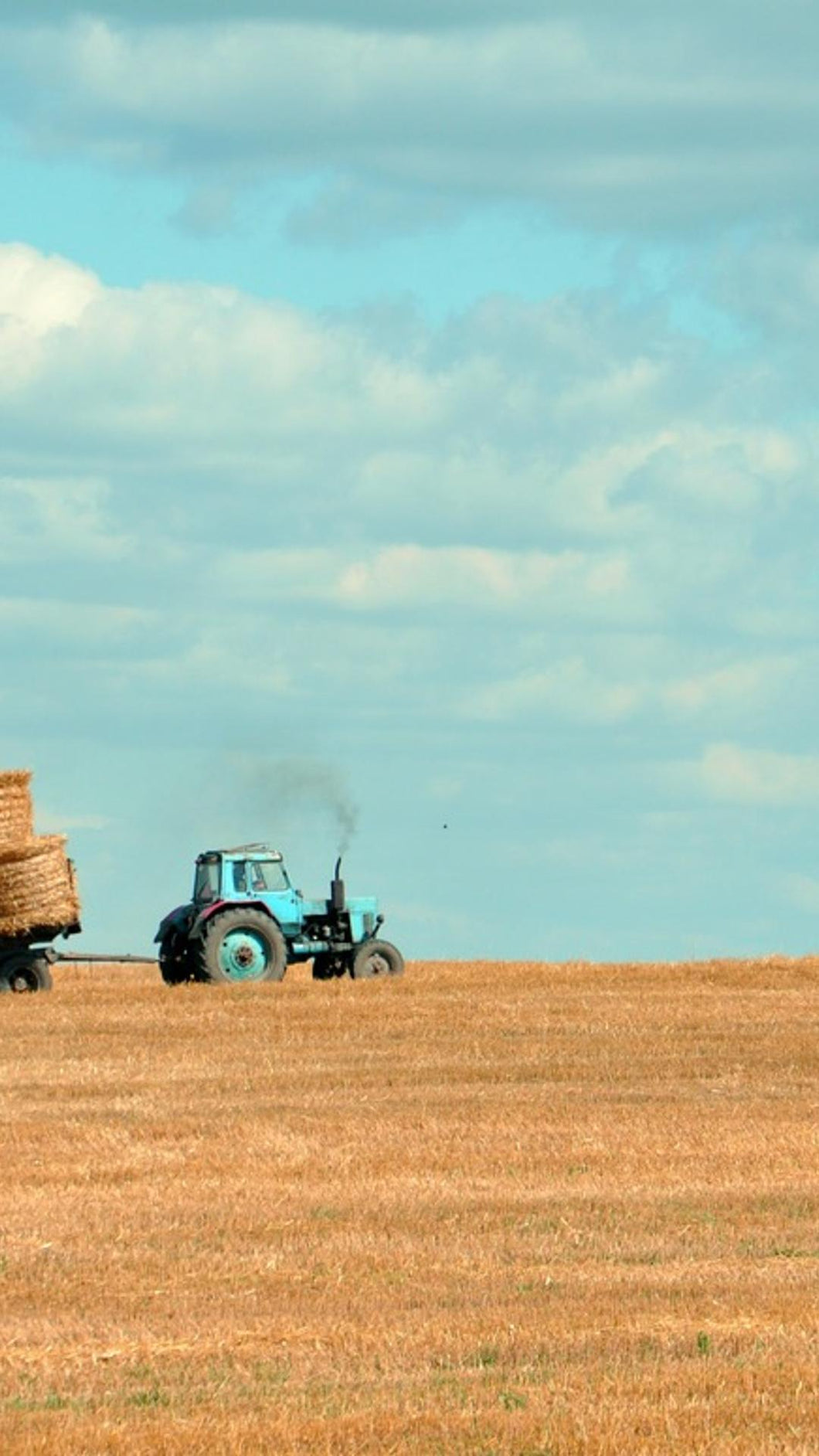 eb034dff584f5b934de1e3df7f97489caea9b194