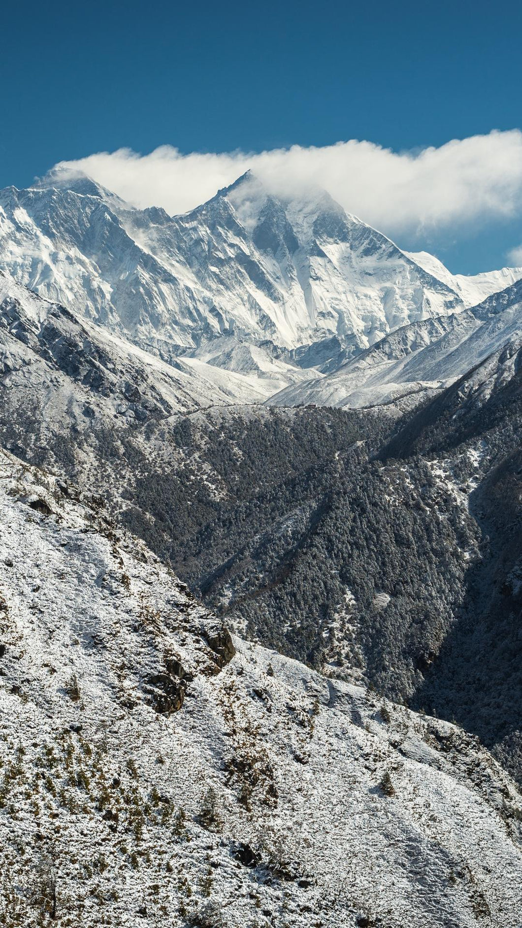 6e1bb1f1bcf1e1bd035b30a7549d20b2562149fe