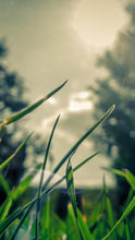 Load image into Gallery viewer, 825d377ace6fb1e09f8c53ce84898b2dce132297
