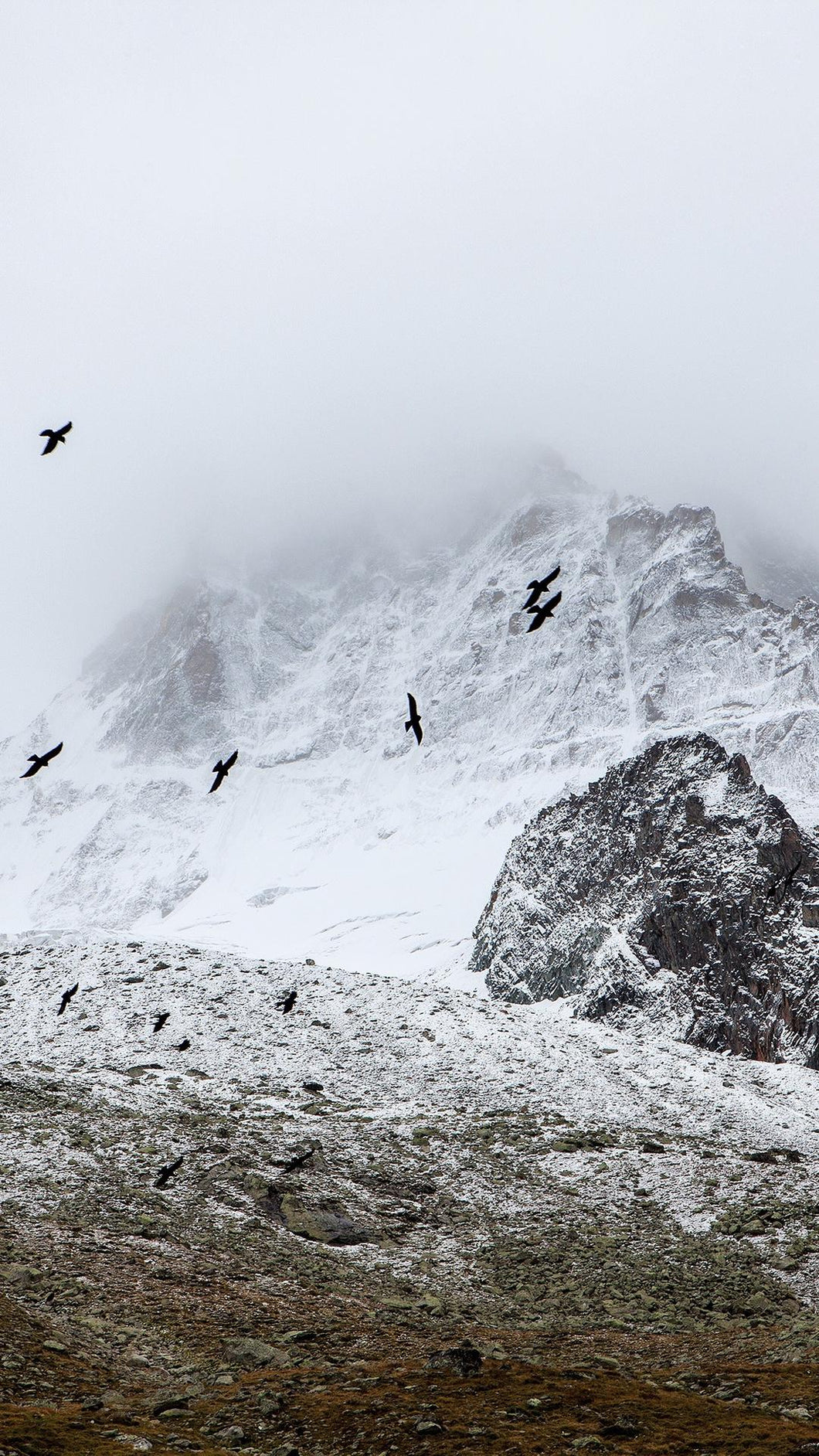 60e7d294787096c497a7aface2182470cbb0026b