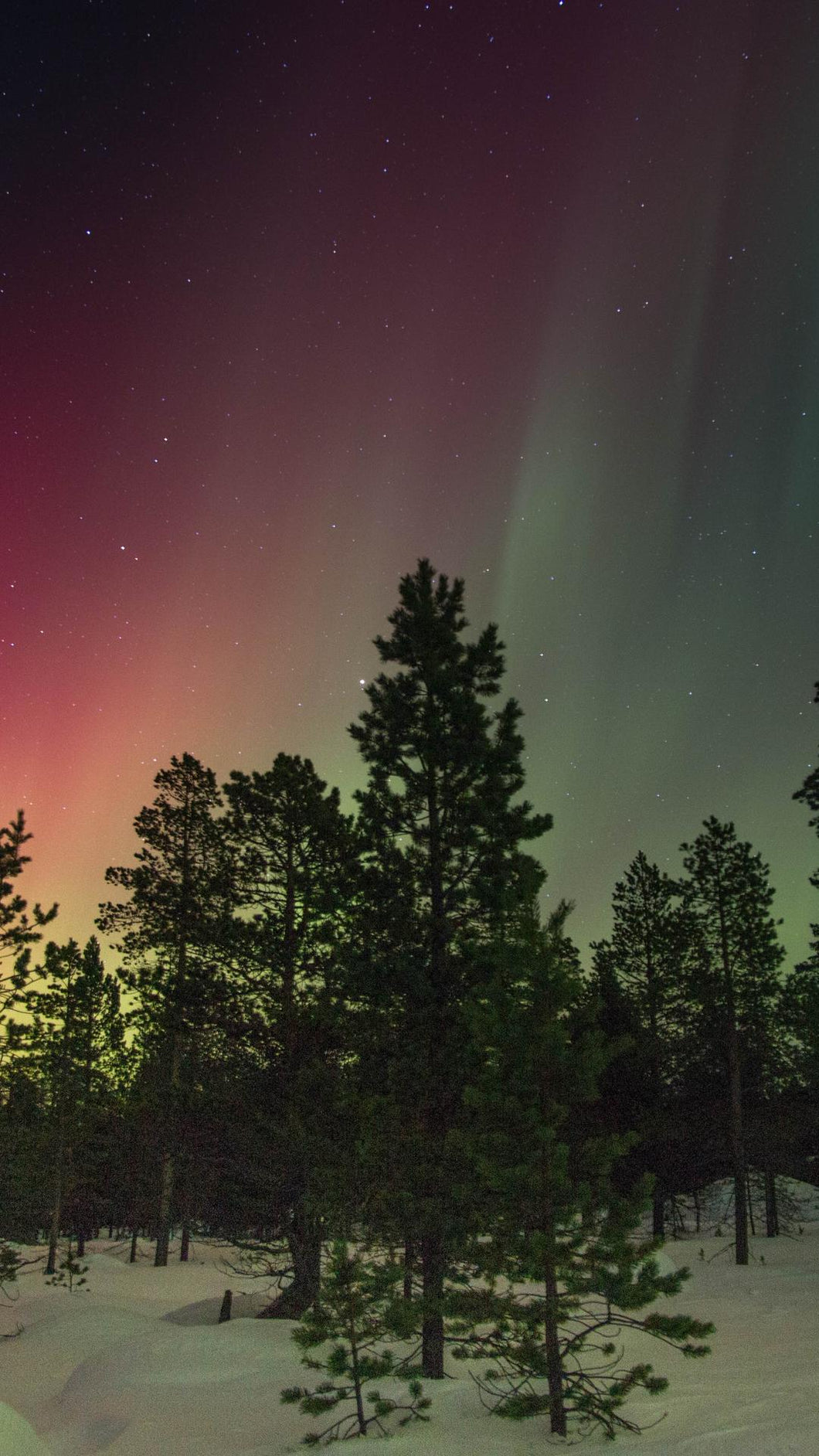 2ac563d554b6c08be169b26e334f99fc7e0ffebd