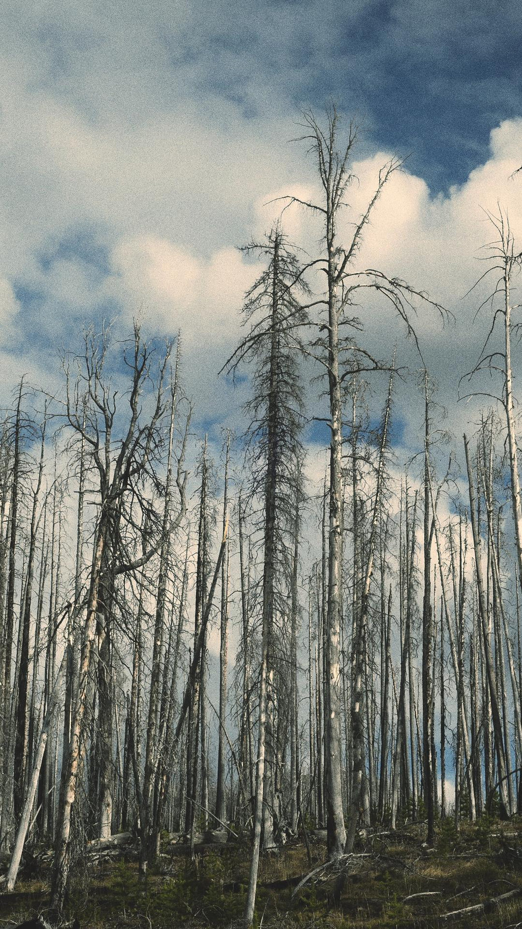 0b4f76f15cd9305fad761b565732787463ad2271