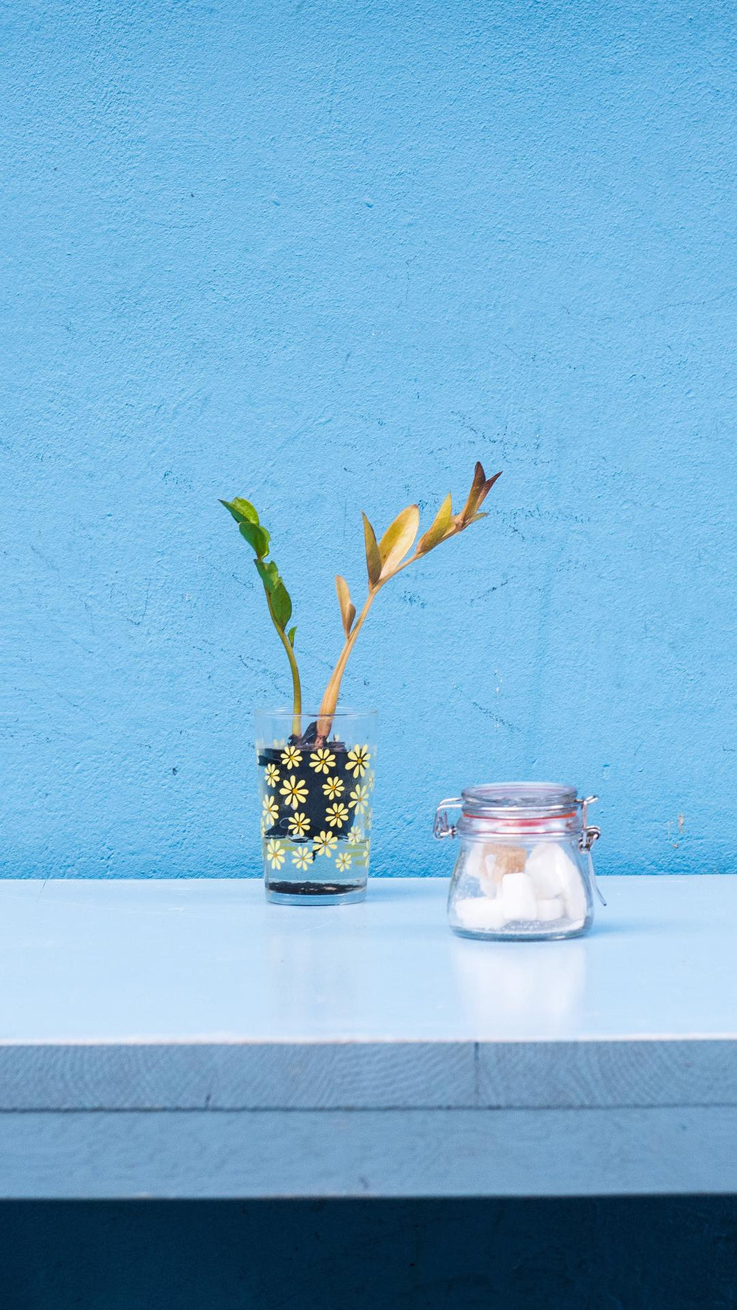 43a3dbf260c03a12585f3c5f945361f55c9542eb