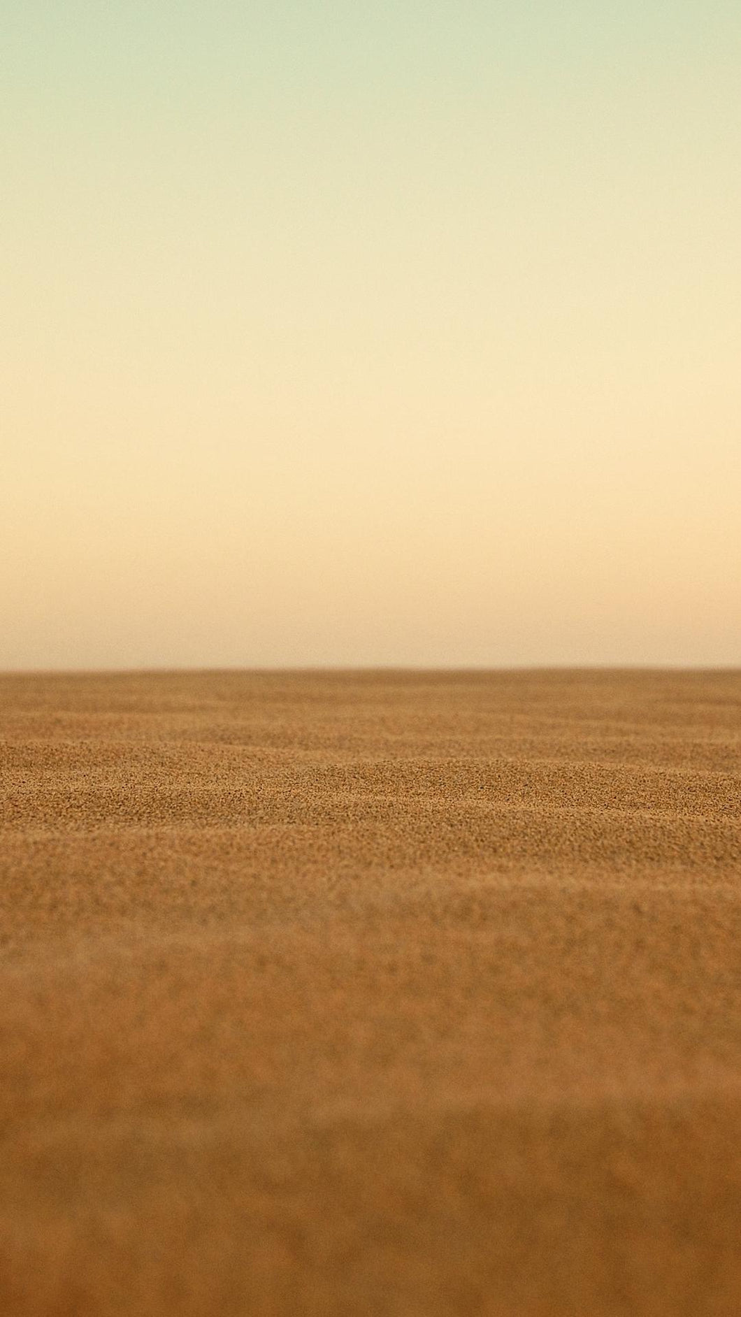 45078f7e449c3c5ca7b4e27f1d891229a4103cd6