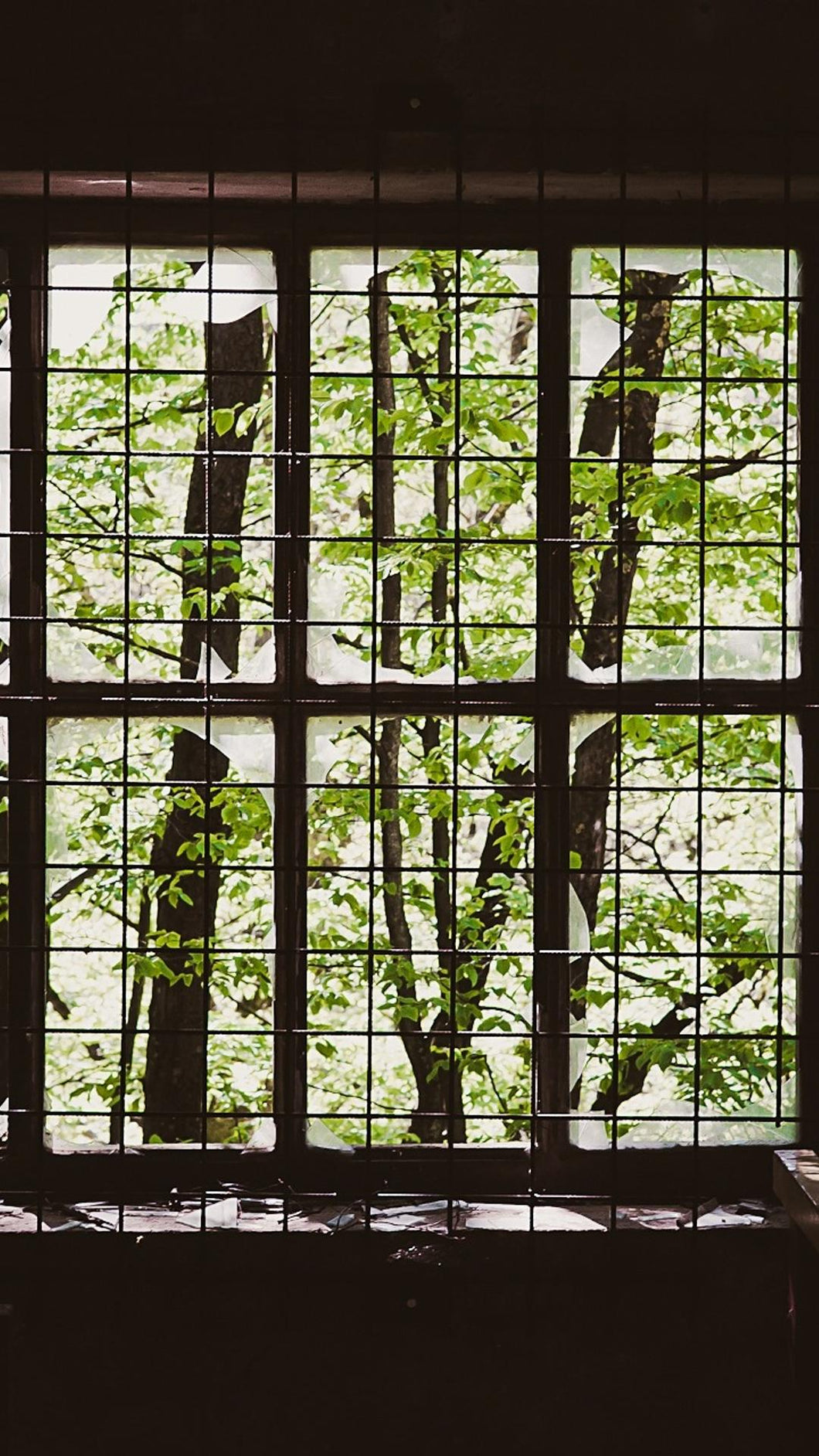 ad9e24aca13c0d775694c1def2296caba337dc57