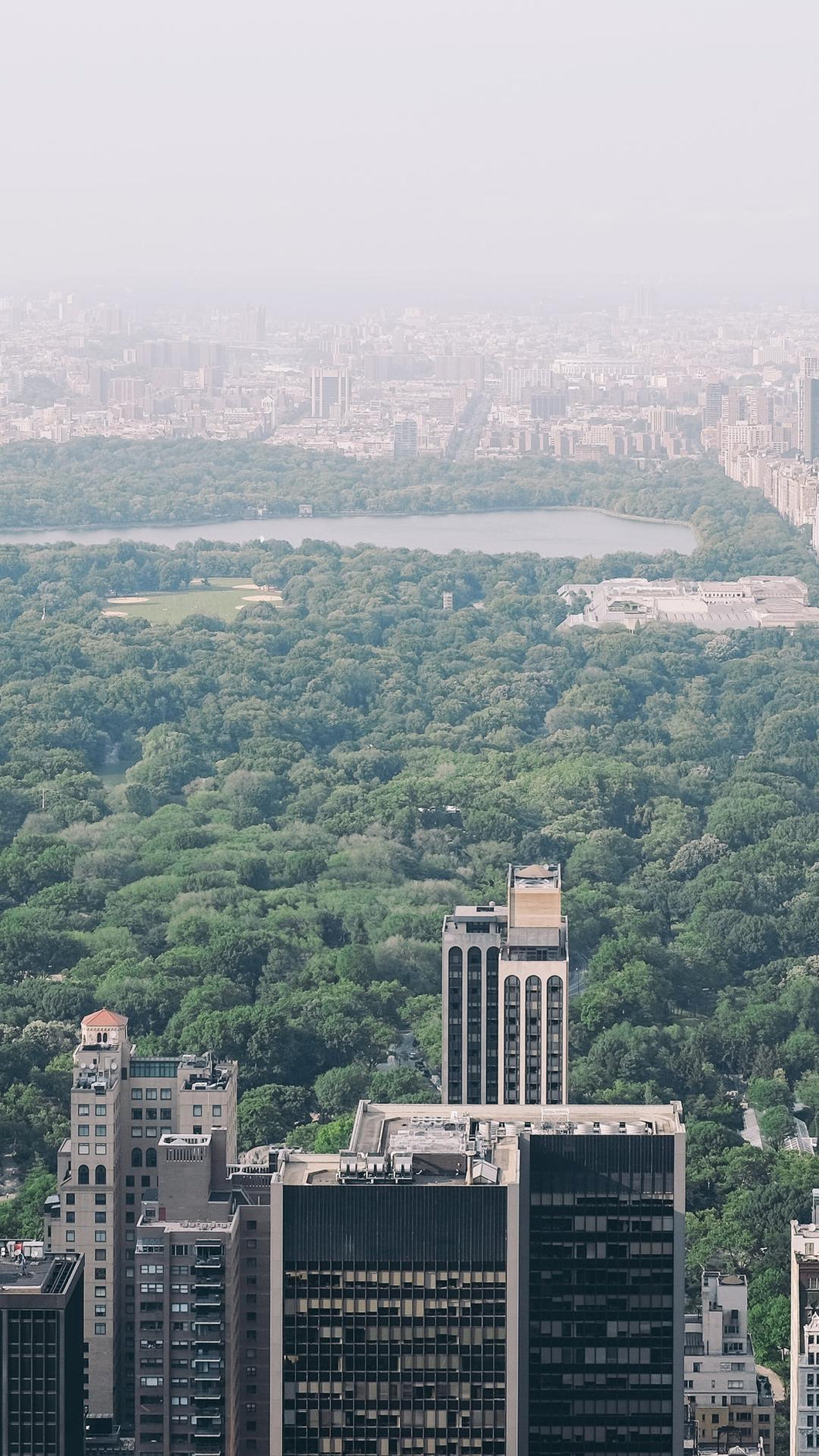 91d9bc67337be126967264009aea35d93cd25da5