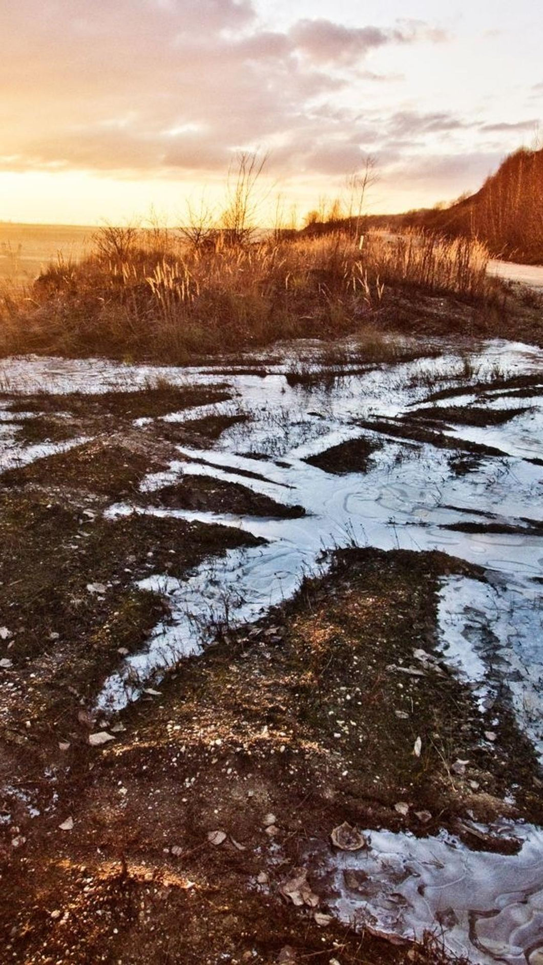 55825b730af148527d6791b6b175726da514fd1d