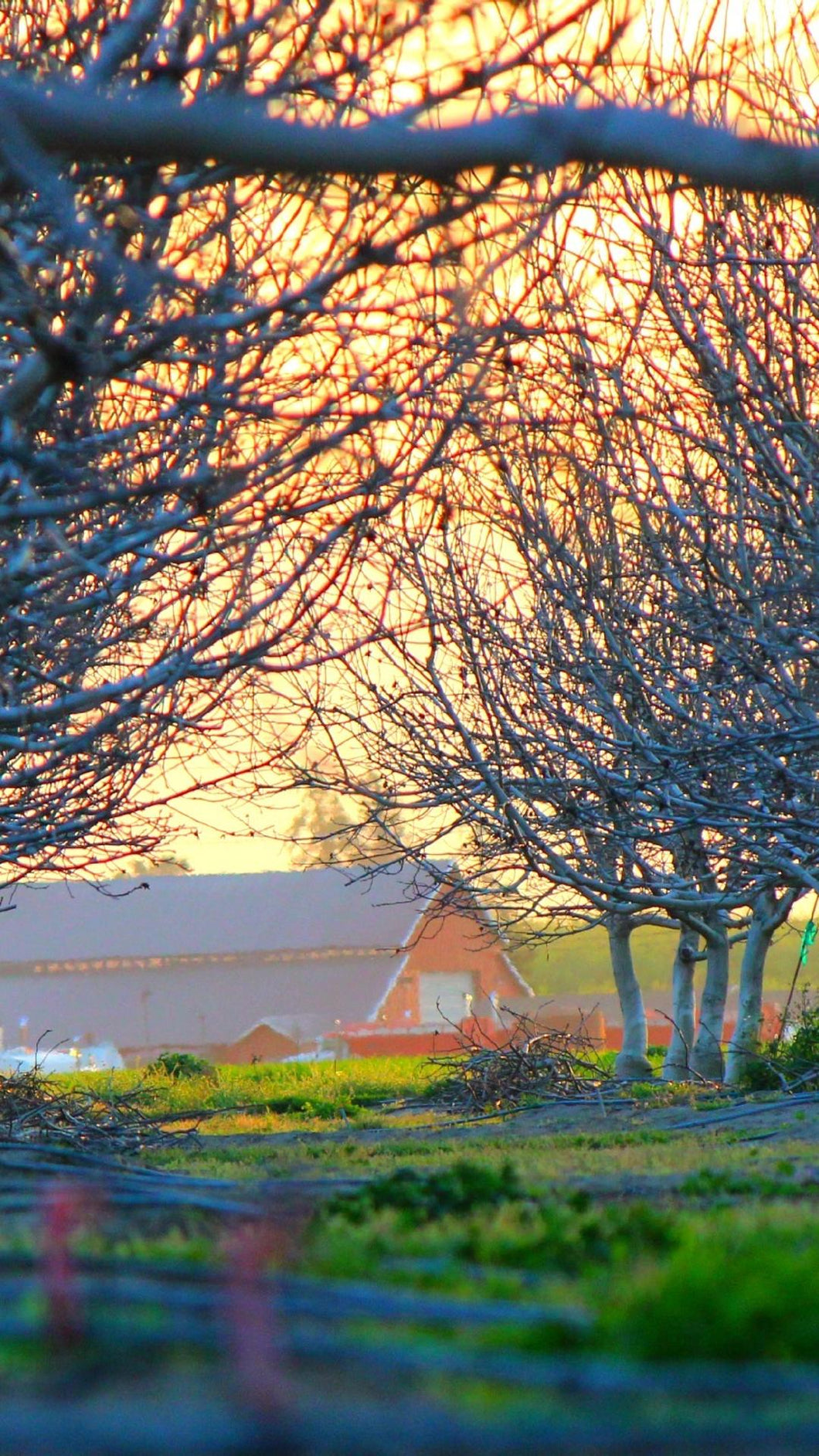 f4ed046862b28087e2ee36c7d86d80e1944d8508