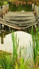 Load image into Gallery viewer, 7988cf18def8080e874d4eda2f5df5c6fdabf06a
