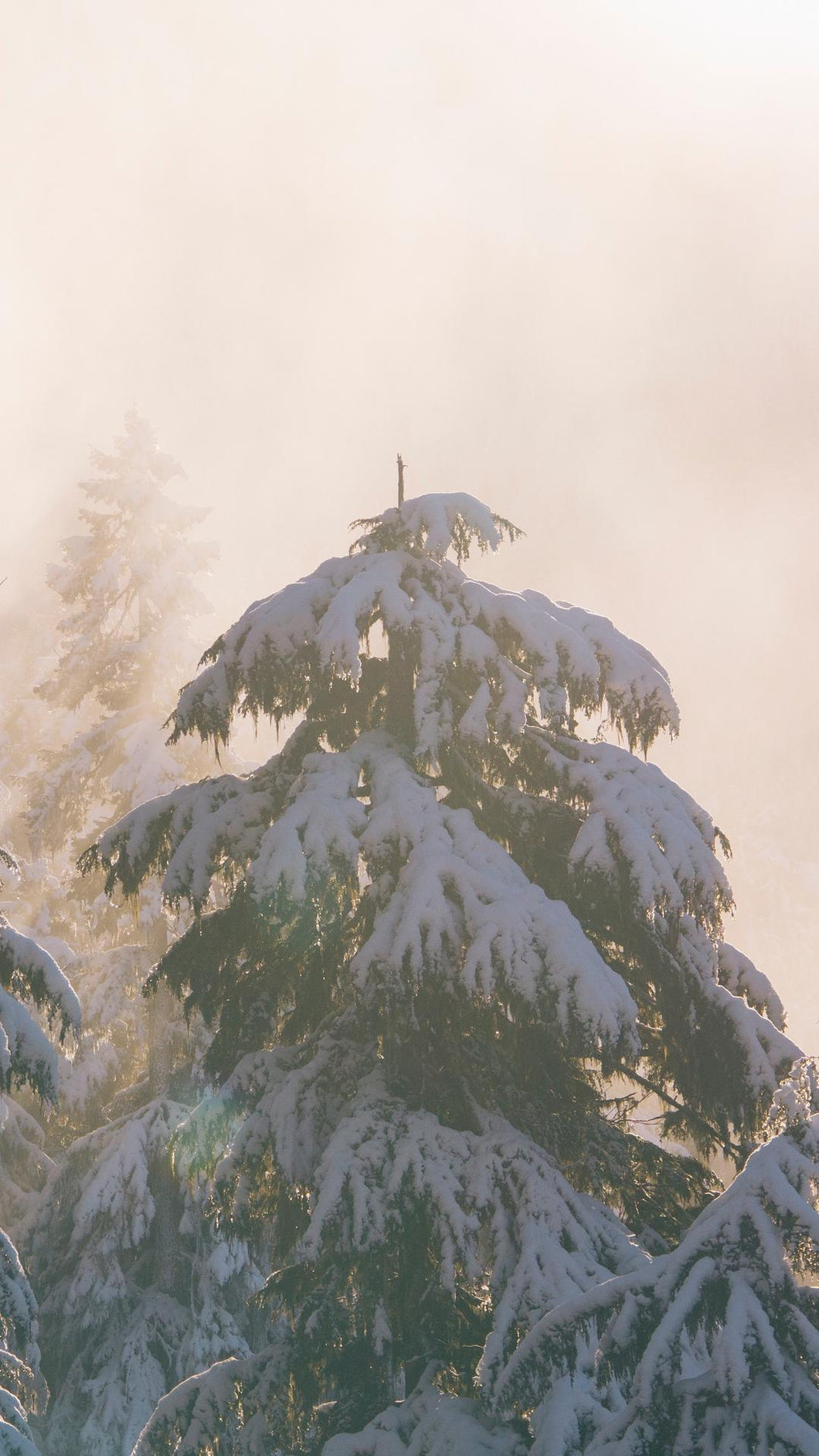 2f84e53dbfbfa519d78a24428b61ec0124c562db