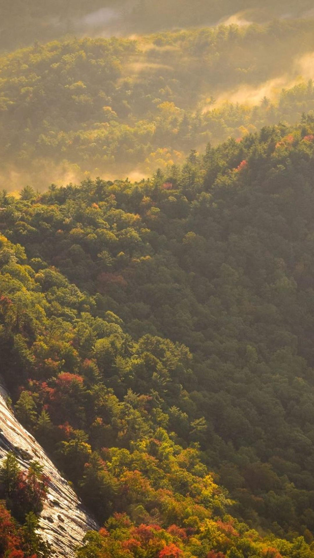 6bb76a24b4abb2c8b0692088be570e219b99b45e