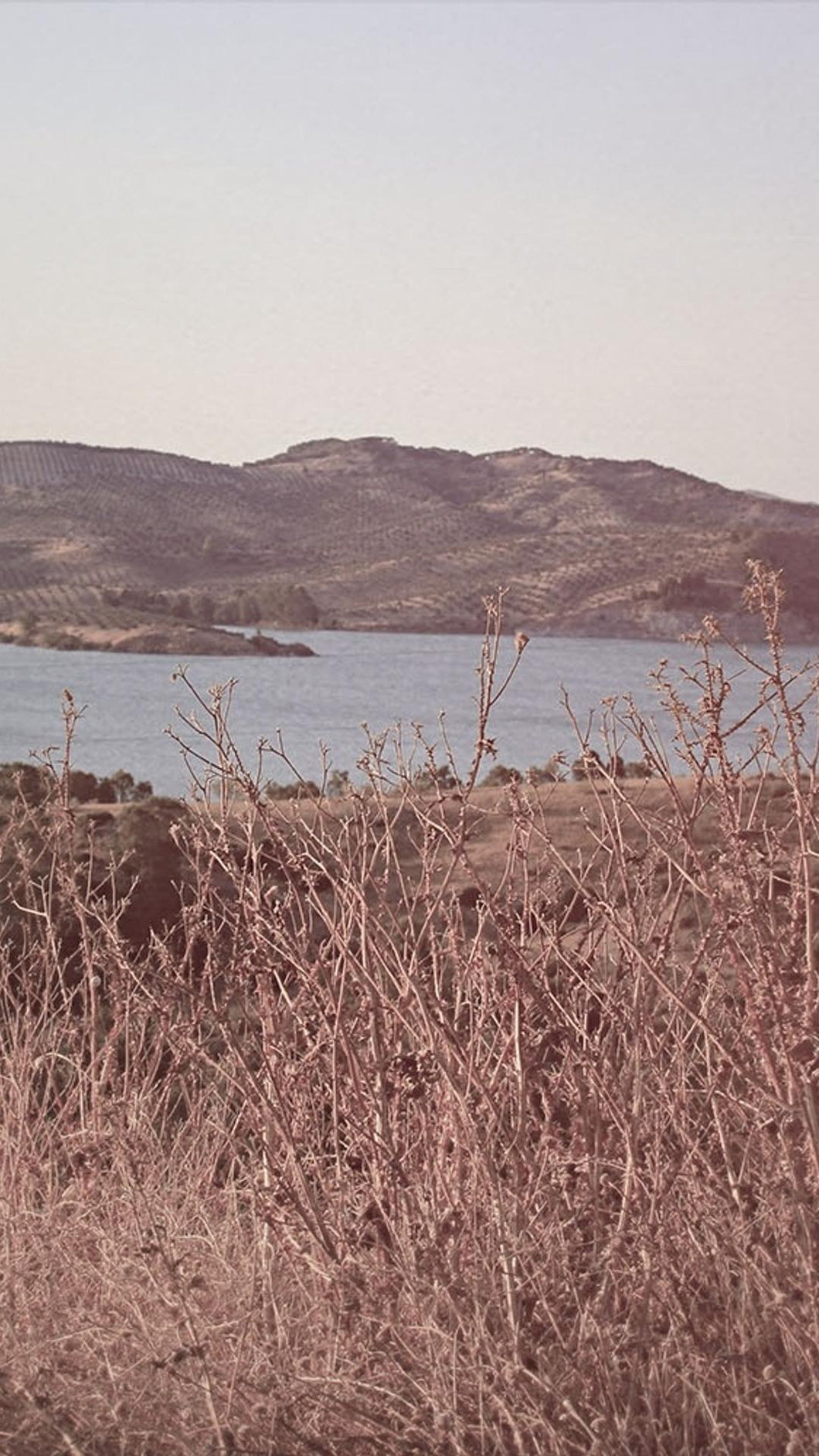 3575ad3717a61feae9e0af4760c00ec043301009