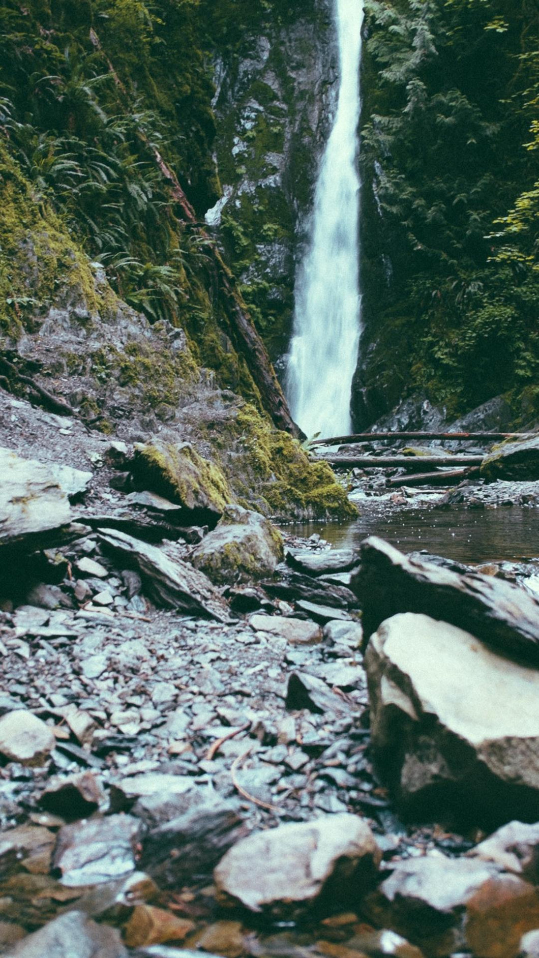 efe4513b380f9af2df15e56a97a182eb17557c93