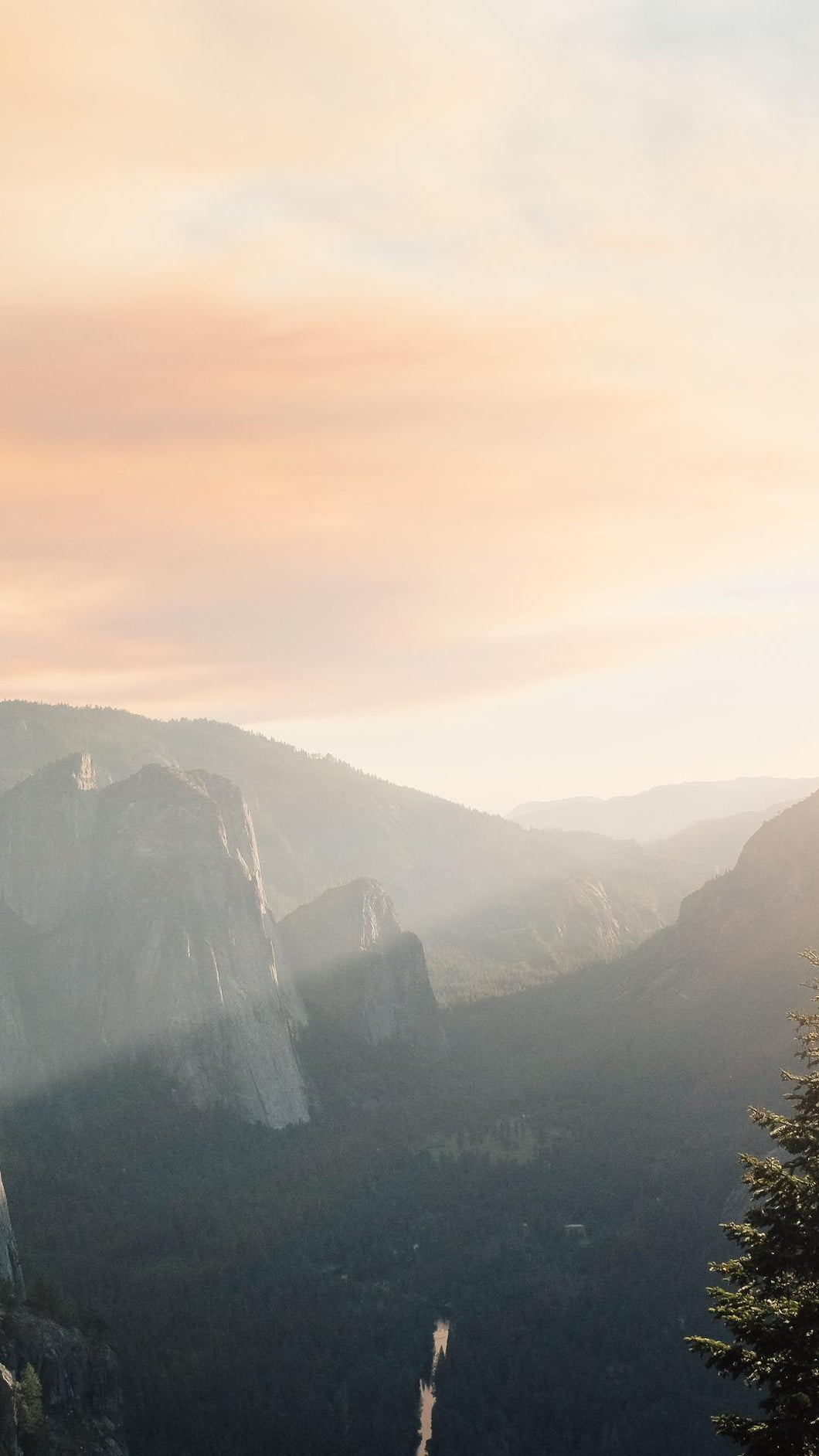 bd5fe8a09e2ec061191c9a9774dd6f81fb0a517a