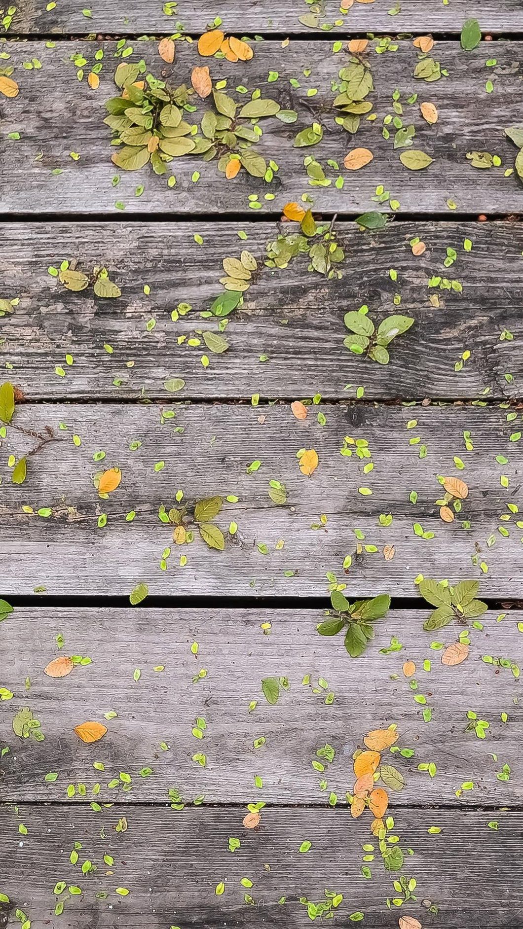 38e1ed728876492a6734295099787ee704e9cec4