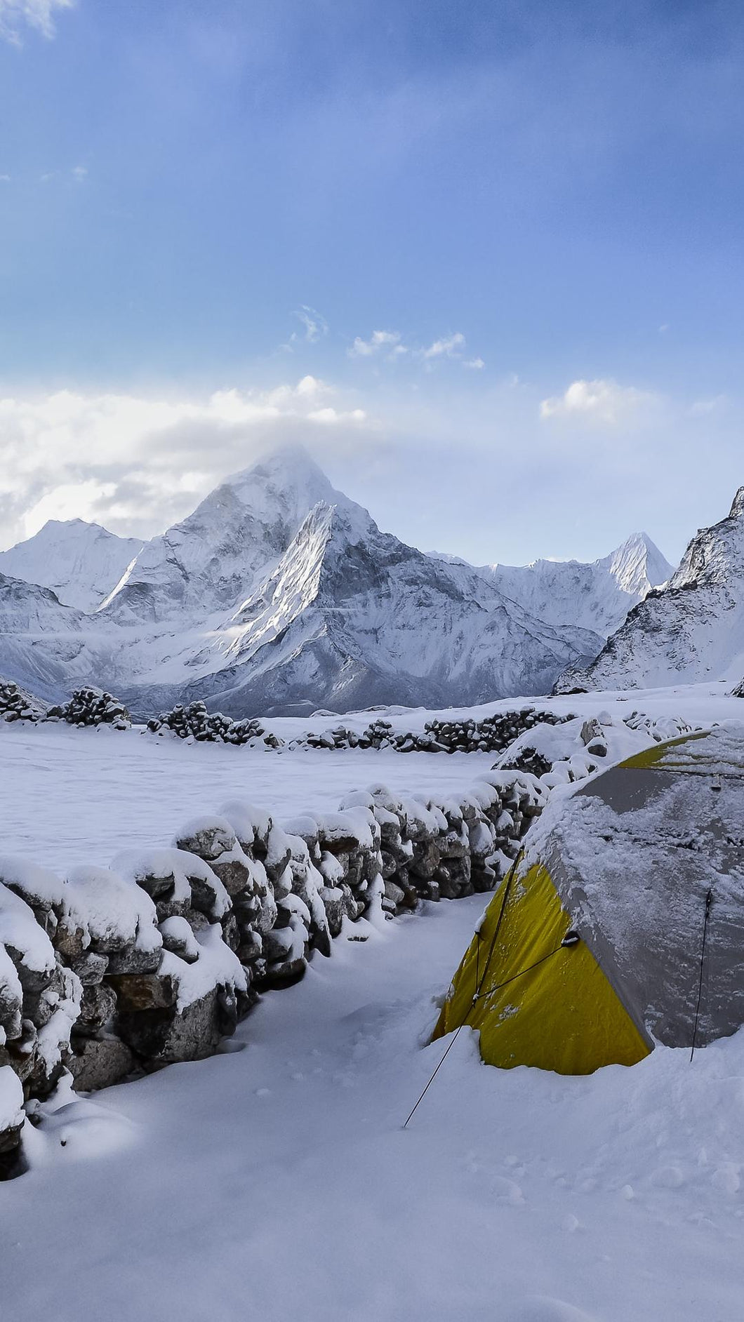 8137f9645ebbff57999a7b64a35ae928775dc8ef