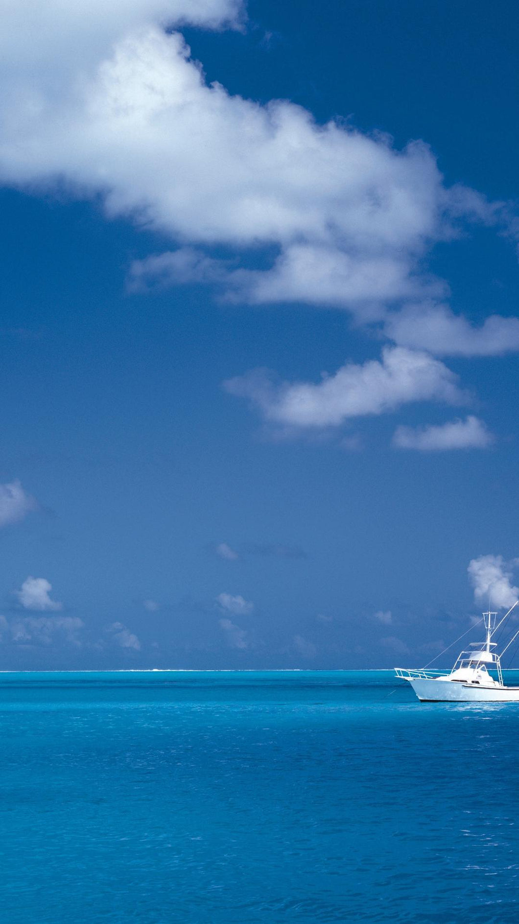 de8c14ac80cf53d94b7a02549154045de5e465a5