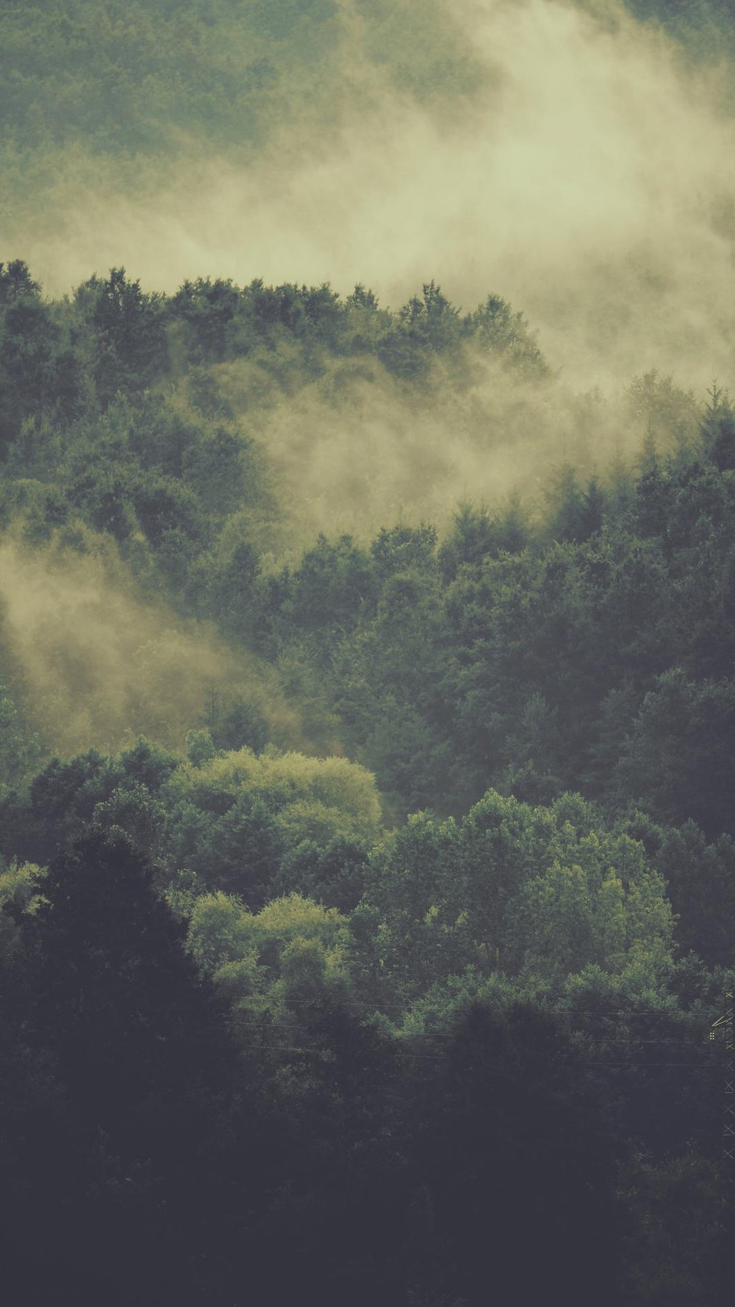 b31d2a053dd93d3a2f51ad7c81bf93e2f4b4042b