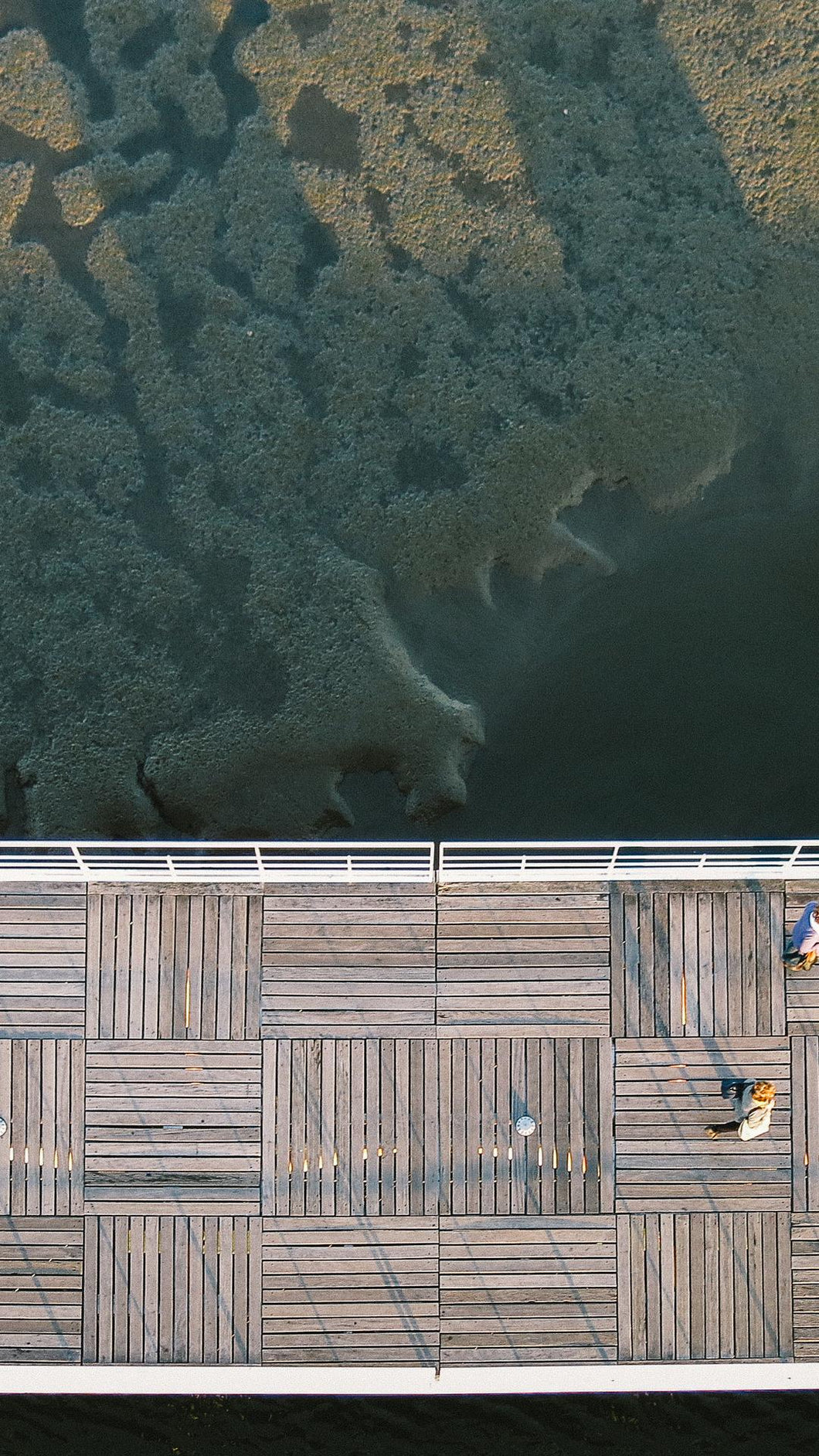 448c4c1e24795a5988cc3cda36ee5e6aebb50e36