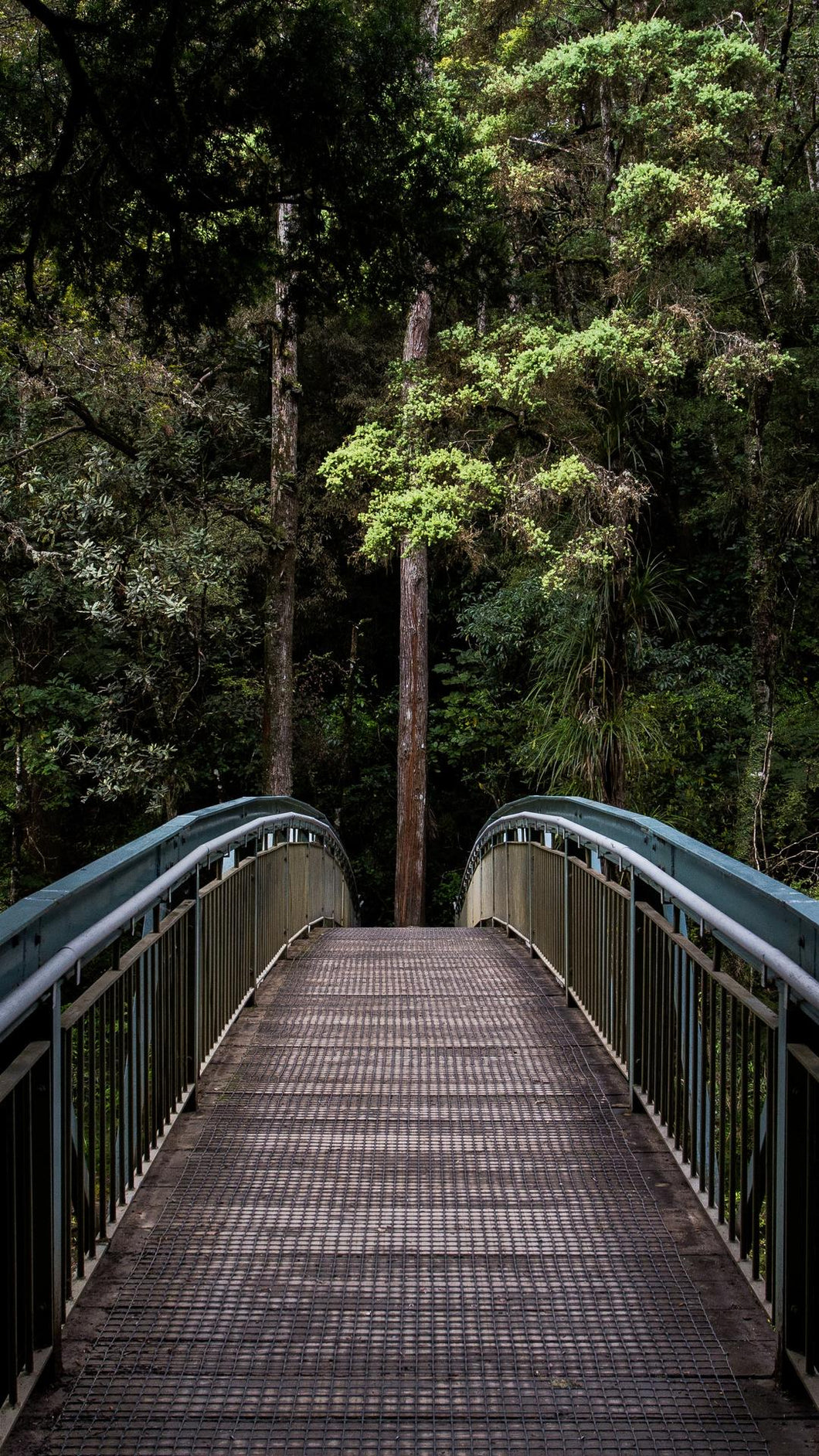 ed19b094fa9cd10871c97c784f5d0add94f1e632