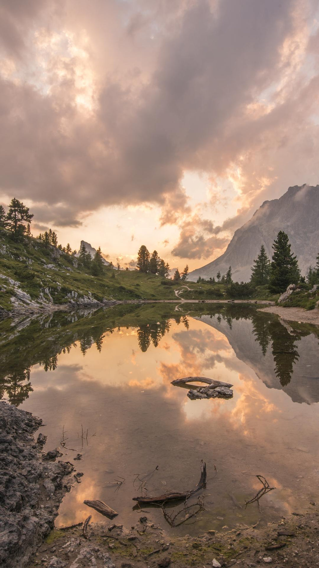 9d3c3c3c6ff0a0e82b8f5329cf34d359f99595c7