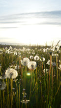 Load image into Gallery viewer, ec607a466031465153510de505c2a0957e89ae63
