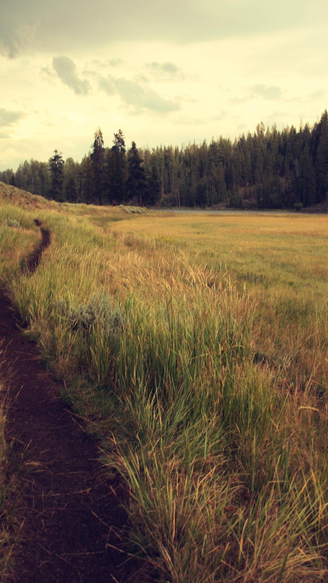 beefc5f70b17f7719dc8bdf36adbe348e286619b