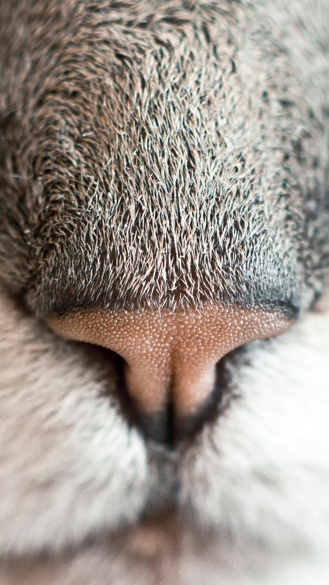 ba47158f40dc49e11645c6253162ae1527f6eb69