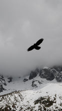 Load image into Gallery viewer, 4ea528f3a9ca14743d44aac4407d962b56e42090
