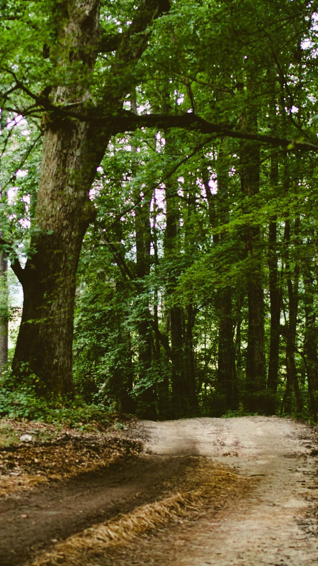 b190f1279506683db3805b21d8cdf808ad1139a6