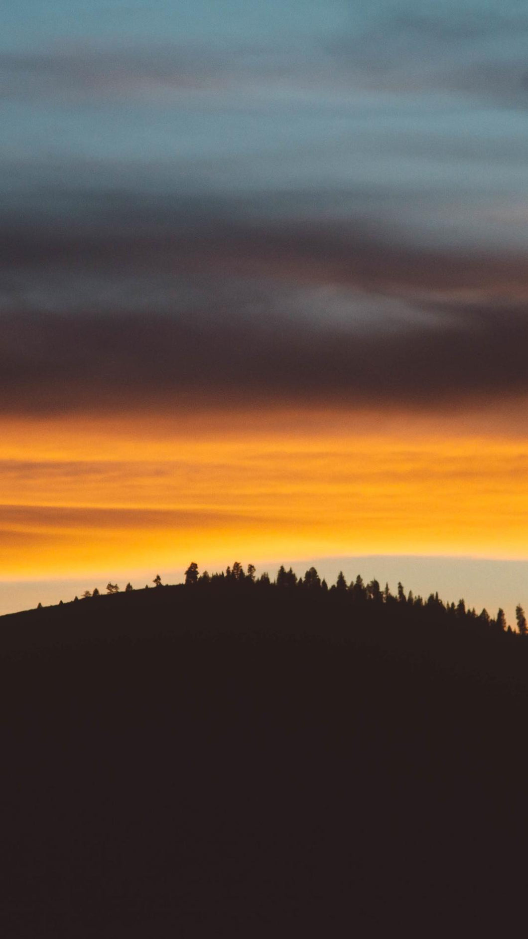 38ce7984f8241e7b5a316d41d59b9e79cf66d2f7