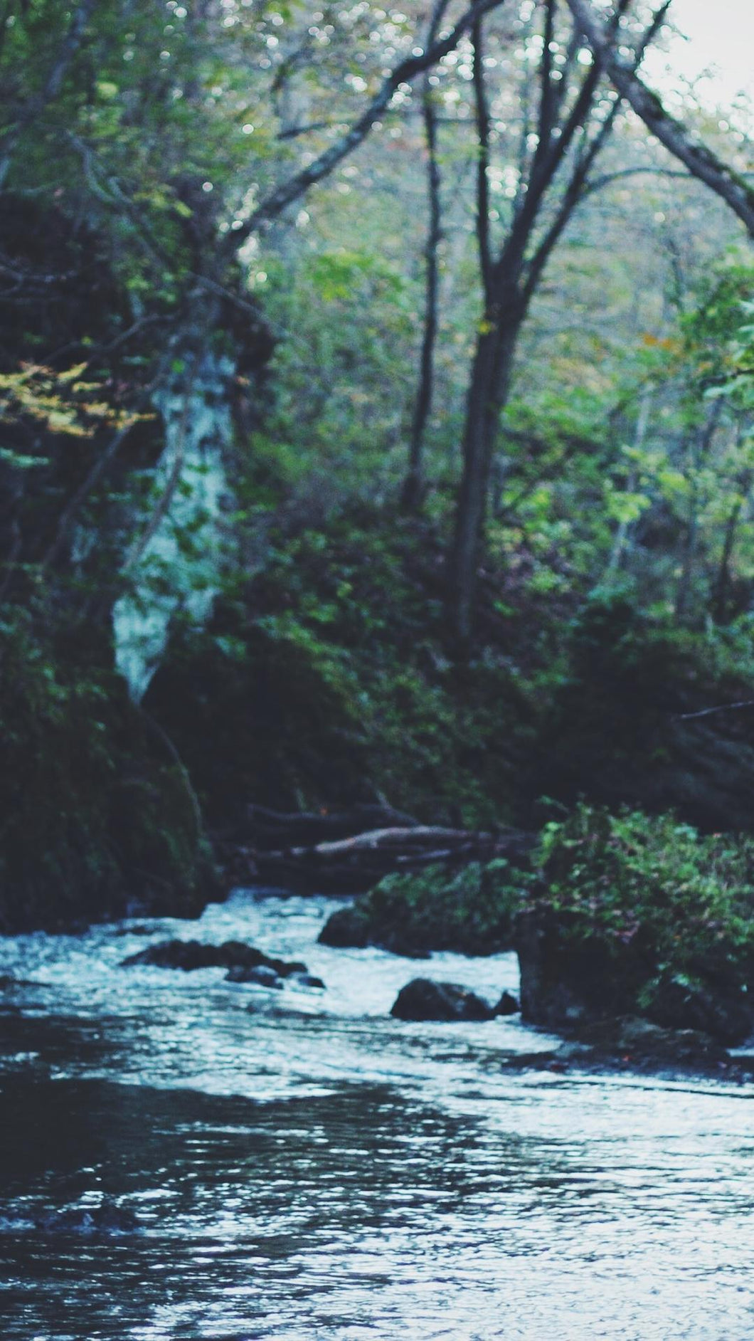 e7aa3422e6541bb53d6bee7ea8e954e4befaf3e2