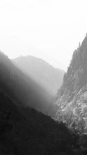 Load image into Gallery viewer, e36ac258a69556efb0c5d987cdf34dd9e1da5349
