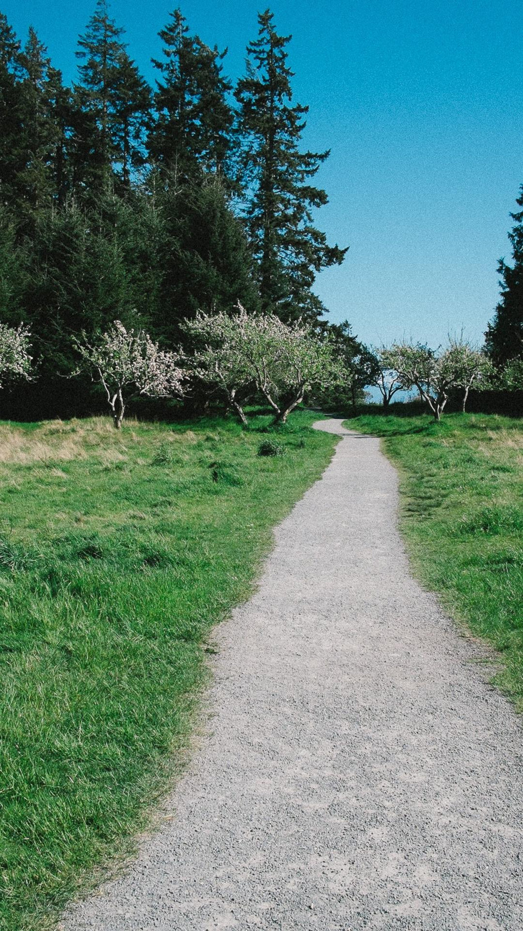 2730ff2a9637466ffae1b7242e206c7a6b6f0a3f